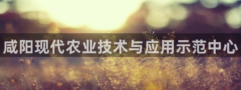 新城平台在线登陆