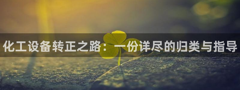 新城平台是干嘛的公司有哪些