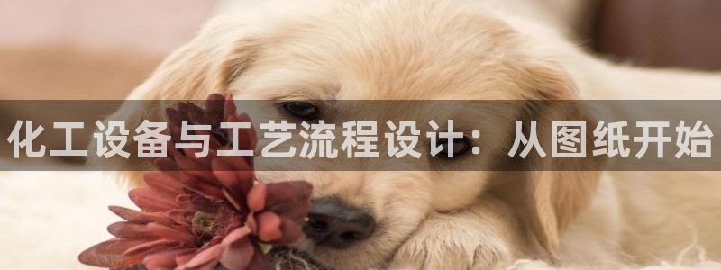 新城平台线路登录不上去了怎么办