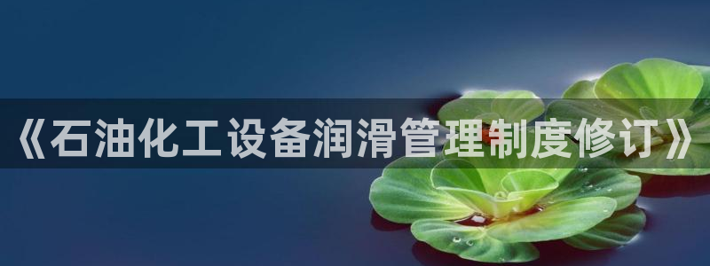 新城平台线路登录不上去怎么办