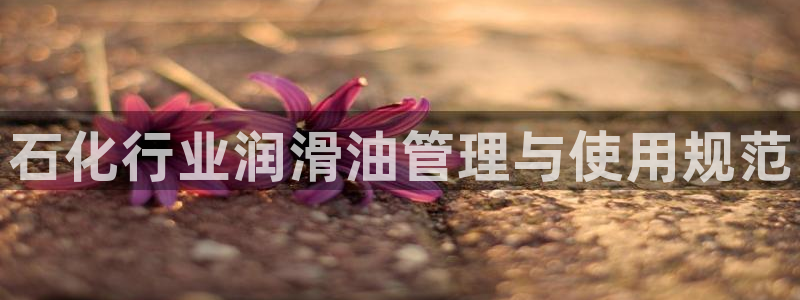 新城平台平台最新活动