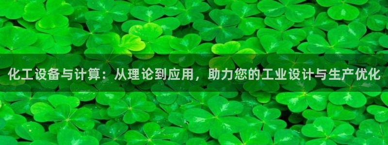新城平台登录入口官网网址是什么：化工设备与计算：从
