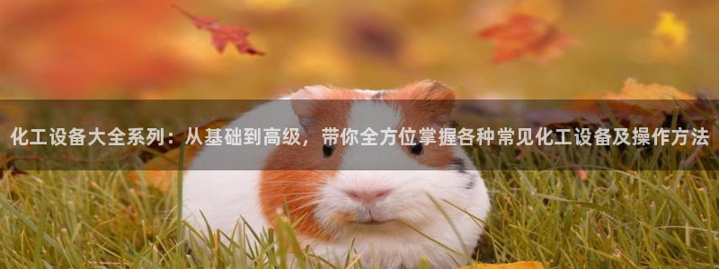 新城平台线路登录不上去