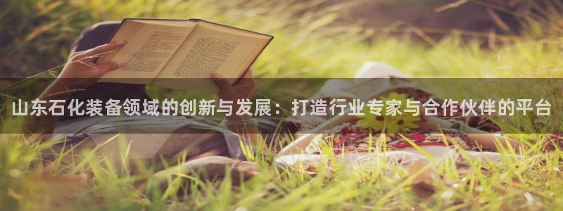 新城平台线路登录不上去了怎么办