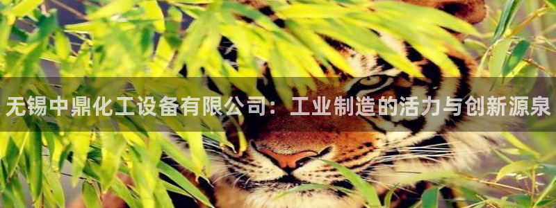 新城平台属于哪个系列