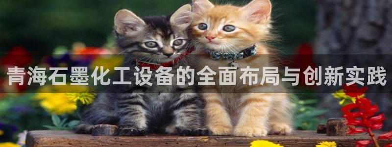 新城平台官网首页登录