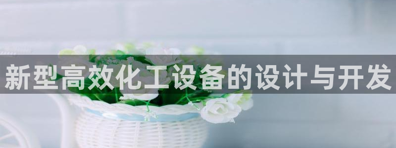 新城平台日7O777：新型高效化工设备的设计与开发