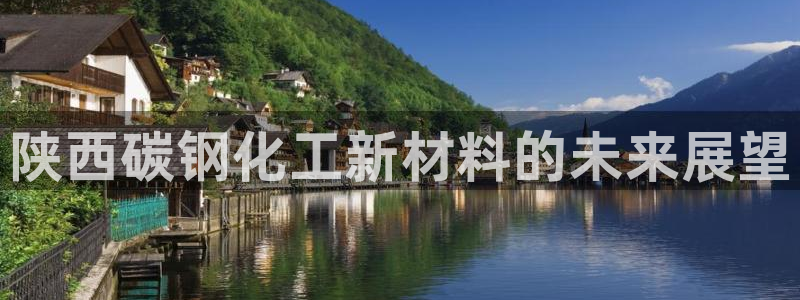 新城平台登录密码忘了怎么办：陕西碳钢化工新材料的未来展望