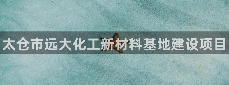 新城平台官网首页入口：太仓市远大化工新材料基地建设
